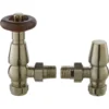 Bayswater Satin Nickel Angled Thermostatic Radiator Valves