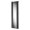 Iona Hazen Mirrored Radiator 605x1800mm Anthracite
